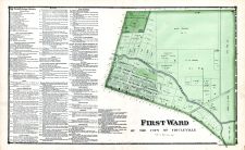 First Ward, Pickaway County 1871